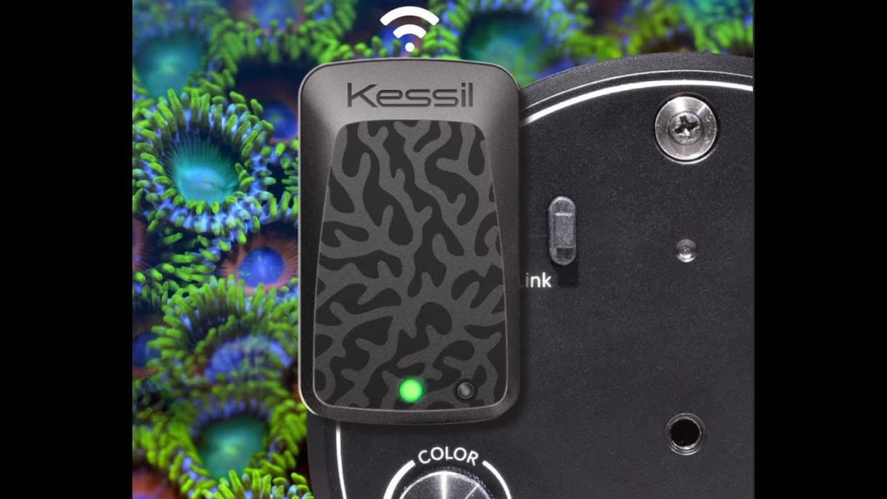Kessil WiFi Dongle