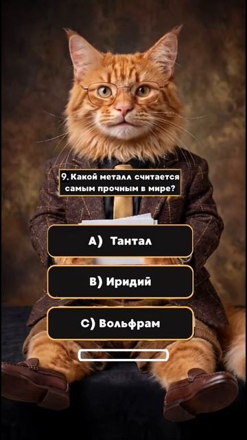 Проверь свой IQ: Сможешь ответить на все 17 вопросов?
