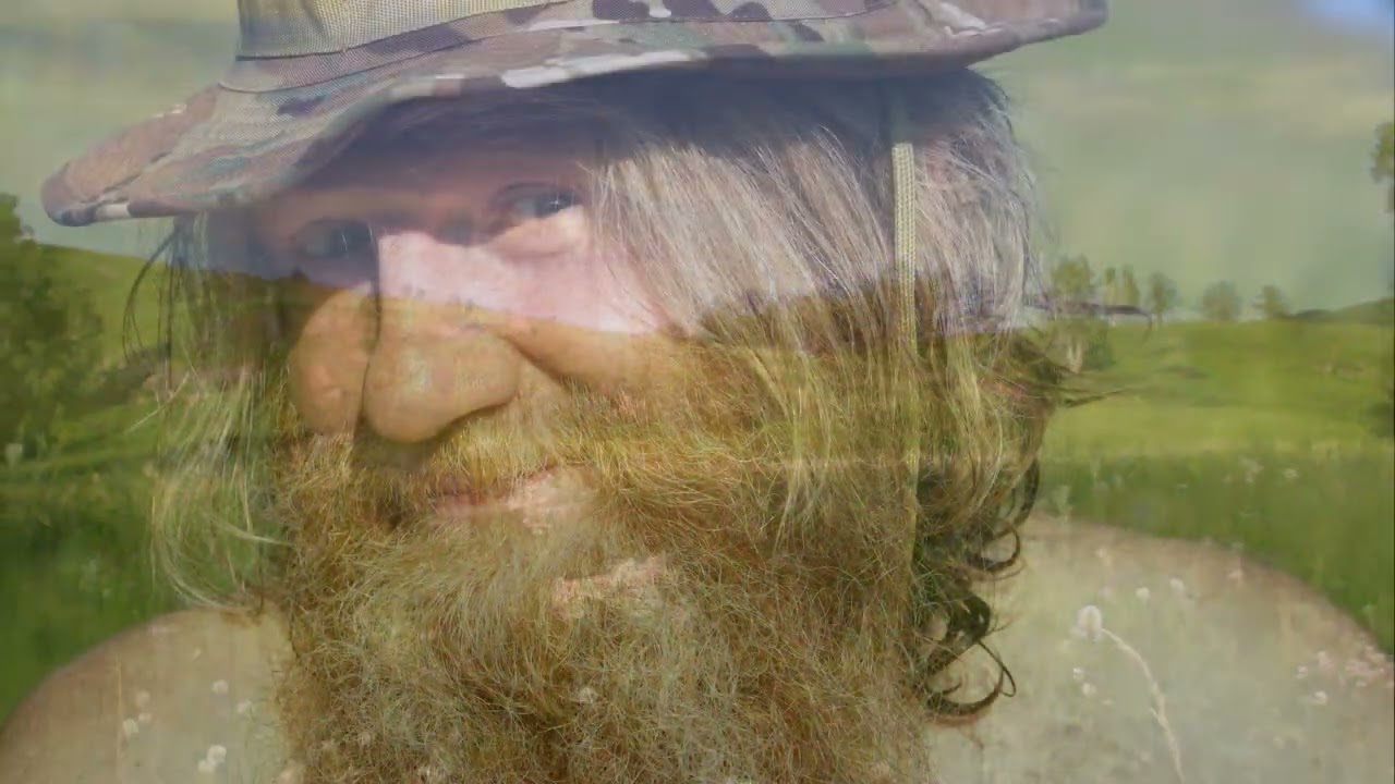 Цветы на лугу