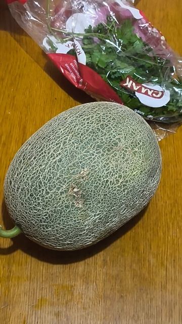 Дыня