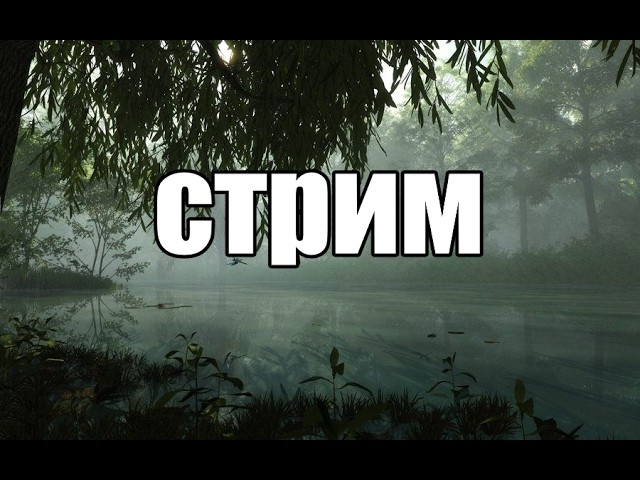 ФАРМИМ ПАСС В АЛЬЯНС ТД