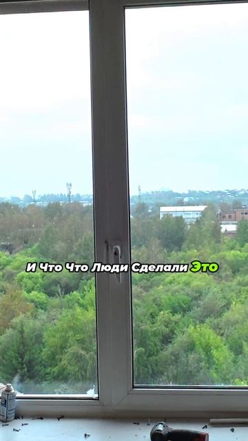 Дёшево не значит хорошо 🤑