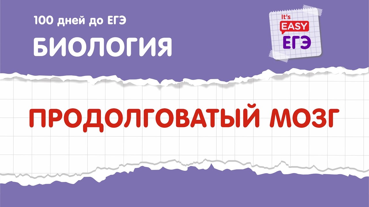 ЕГЭ по биологии. Продолговатый мозг