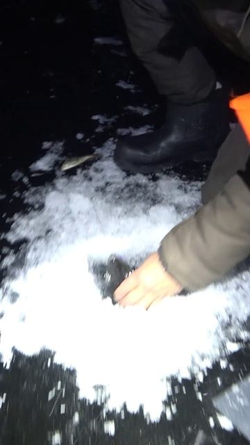 Зимняя рыбалка