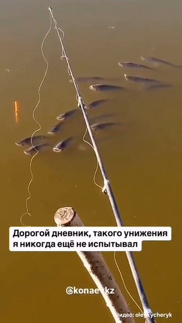 MOV_20260929_070817_489