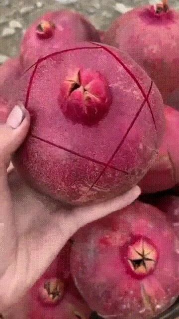 Страна советов