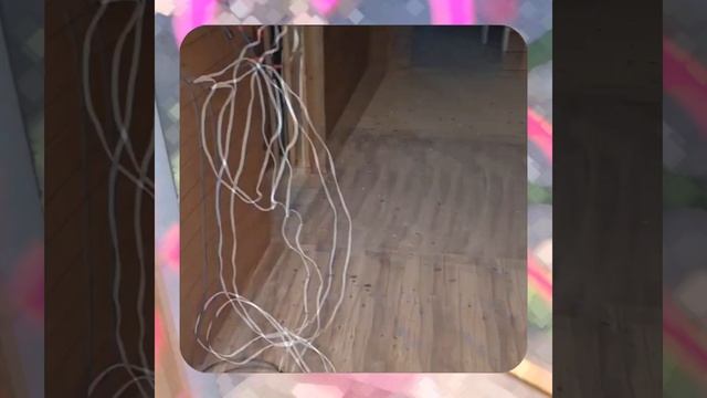 1000070969.mp4 Собака смотрит на планирование подготовки к устройству отопления в доме А-фрейм