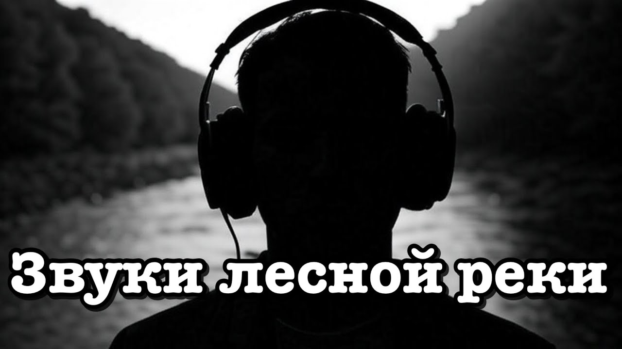 Шепот лесной речки: 10 минут умиротворения. Sennheiser MKH 416