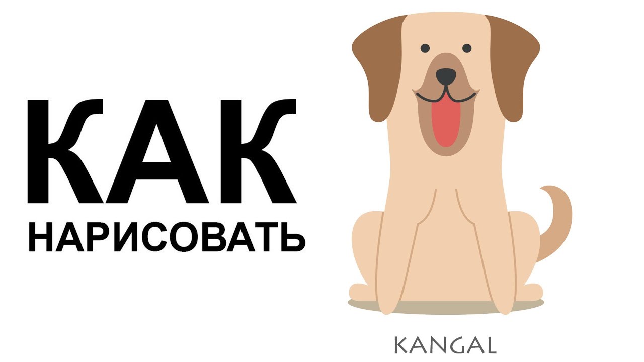 Картинки собак. КАК НАРИСОВАТЬ СОБАКУ карандашом поэтапно