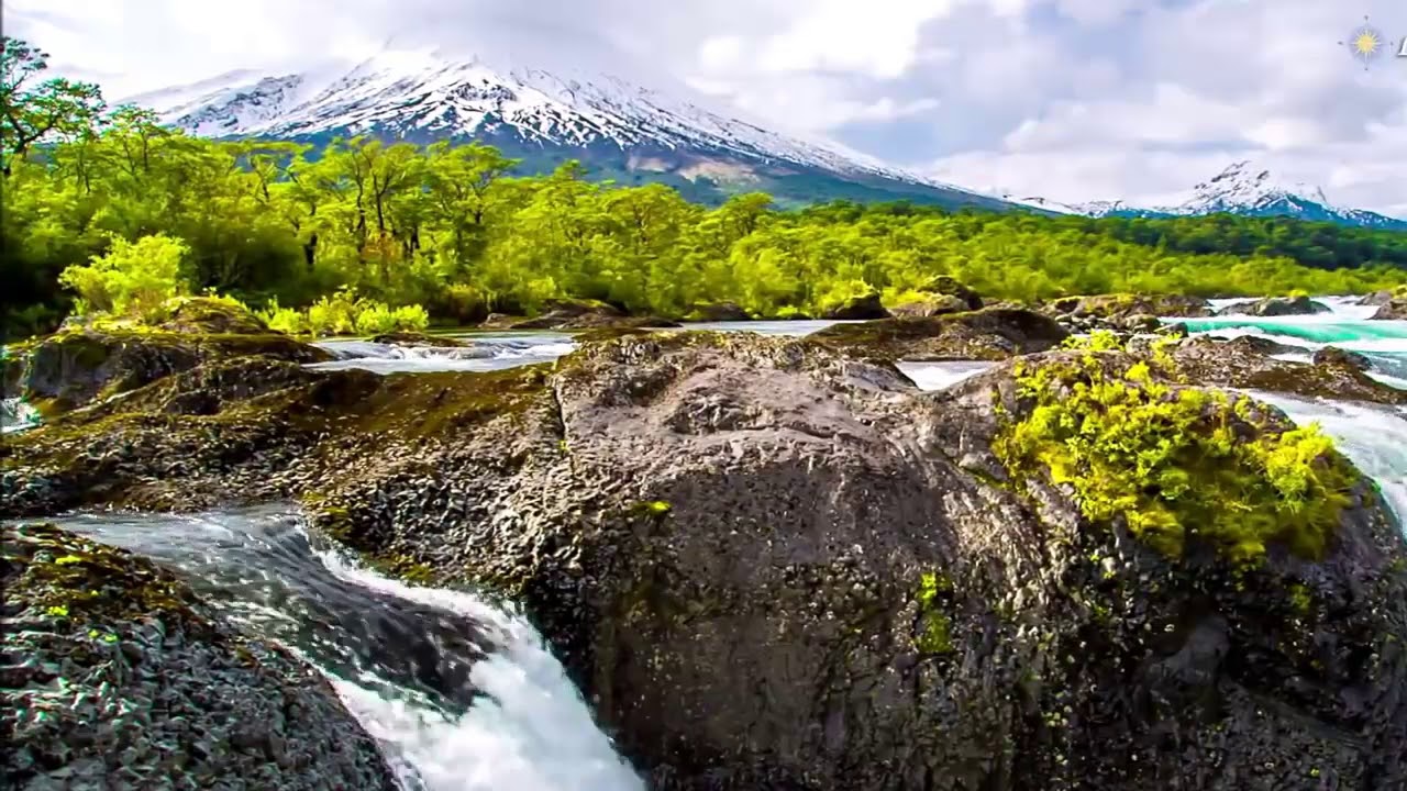 Футаж Природа 15