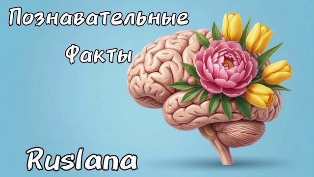 ПОЗНАВАТЕЛЬНО