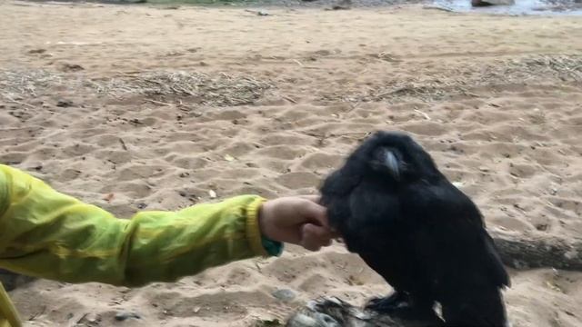 Вася...