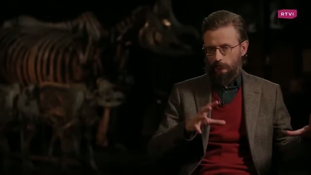 Дробышевский. Человек разумный