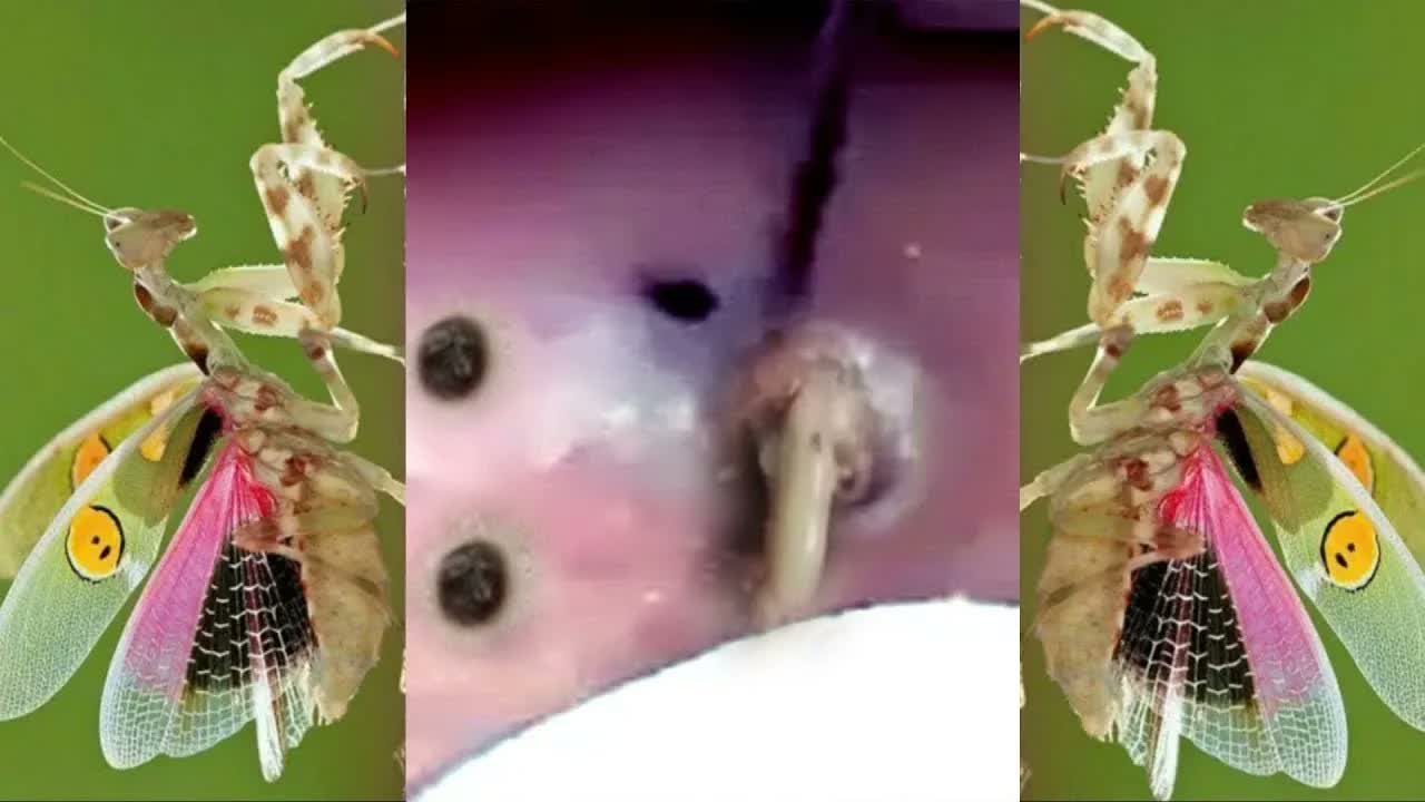 Relax Squeezing Out Blackheads #28 Черные точки