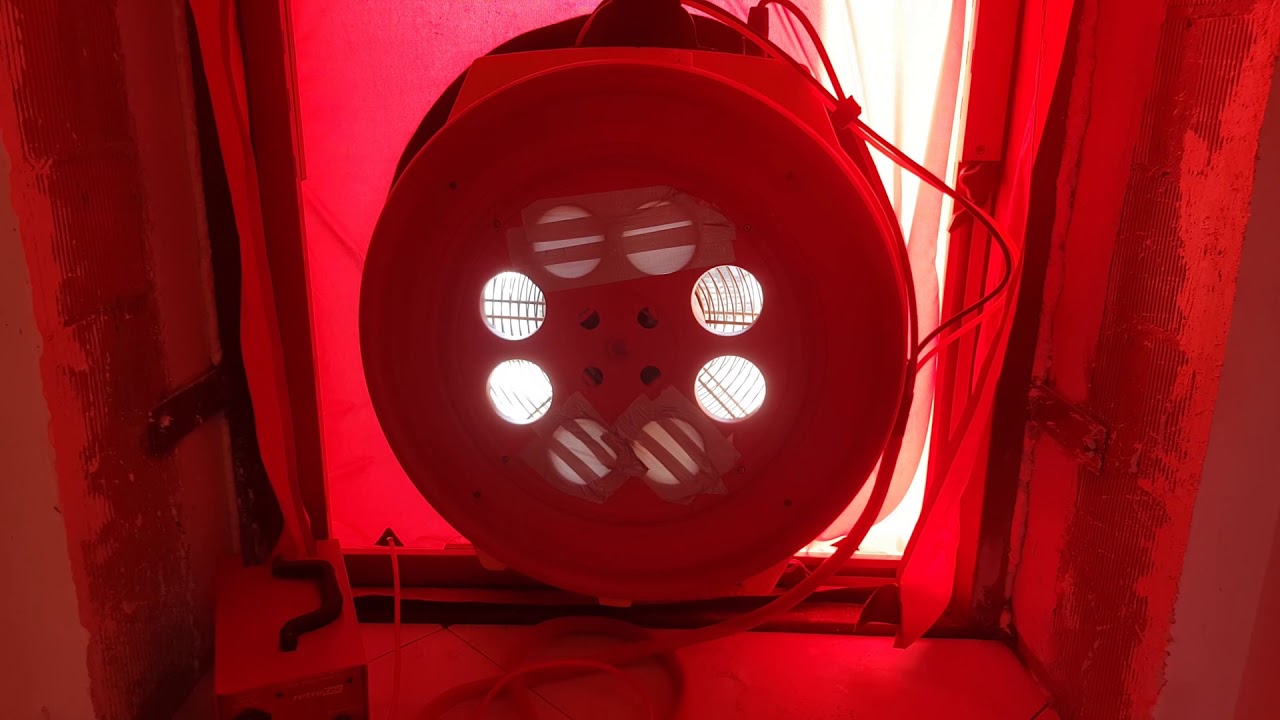Blower Door Test - лучший тест на герметичность зданий!