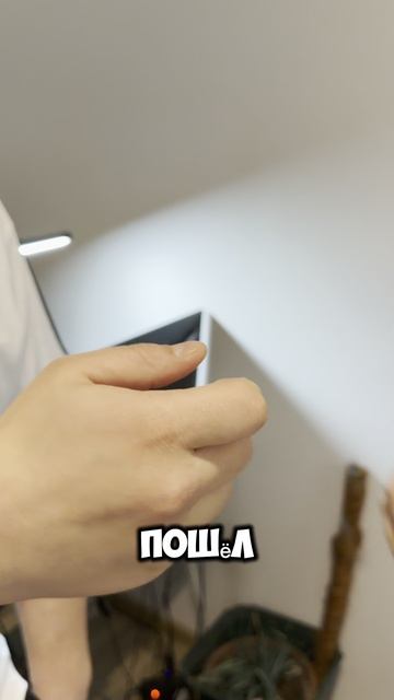 А он не сдаётся!