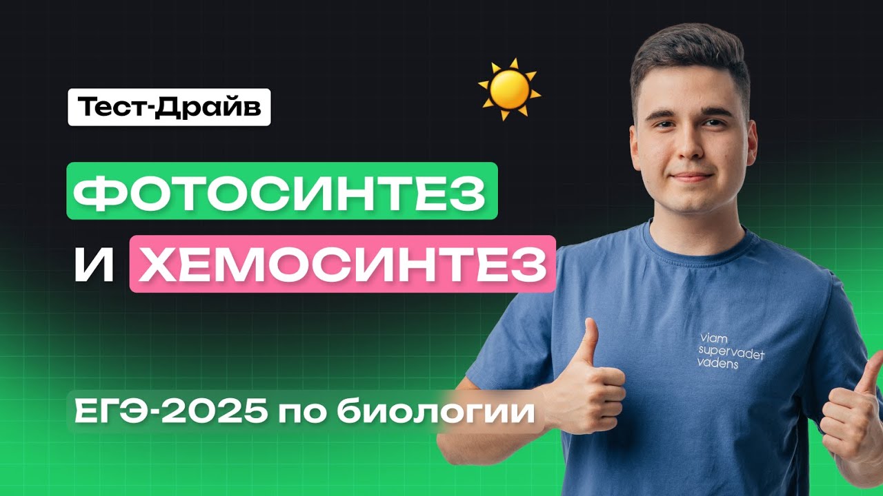 ВСЕ про ФОТОСИНТЕЗ И ХЕМОСИНТЕЗ | Тест-Драйв | NeoFamily