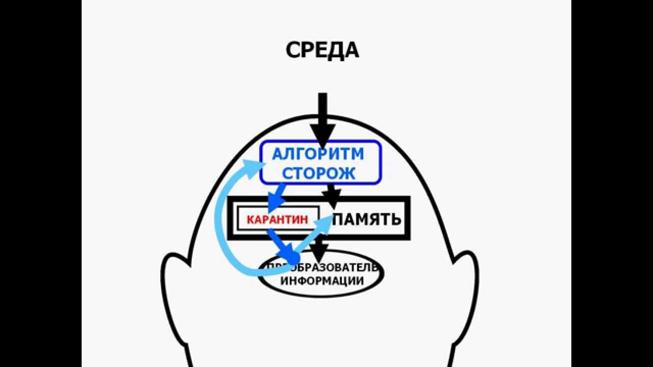 Третья схема самоуправления