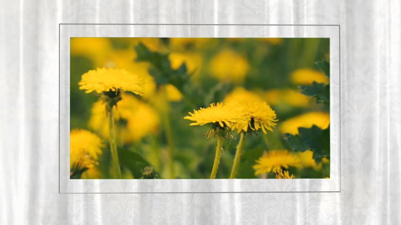 Футаж - Фон с рамкой Хромакей 🟩 Background Frame Green Screen