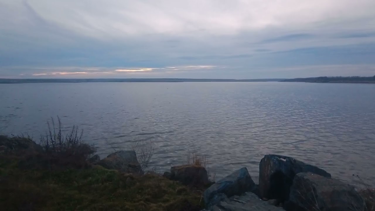 Ducks Are Screaming Very Loudly On Lake Before Sunset / Утки громко кричат на озере перед закатом