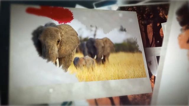 слайд шоу второй пример рубрика фотостена и галерея