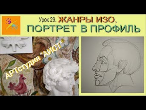 Портрет в профиль. Урок 29.