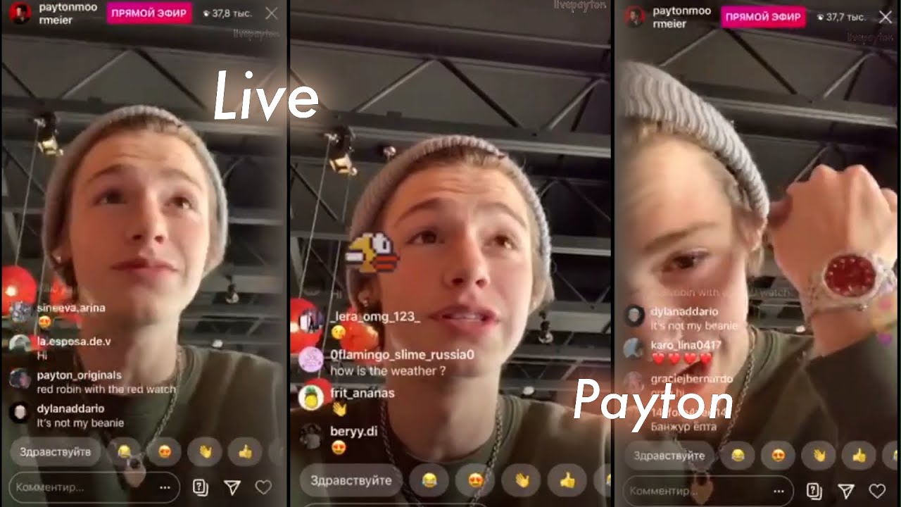 Live Payton 30.05.2020 🍹✨🍃 /// Прямой Эфир Пэйтона 30.05.2020 🍃🦜🍐