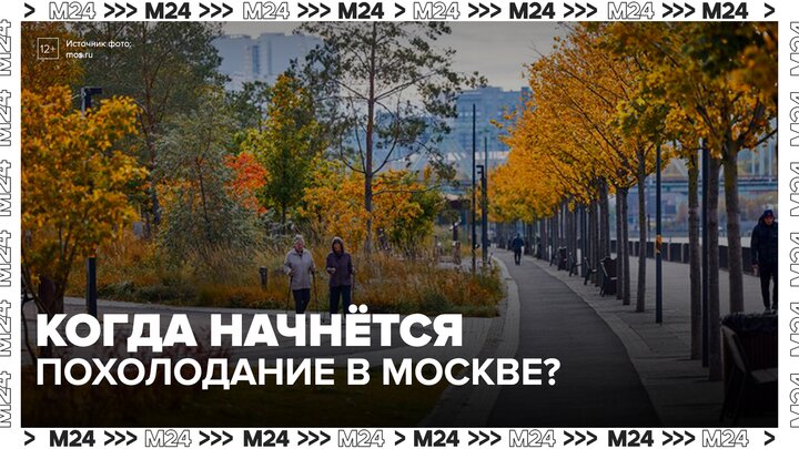 Синоптик рассказал о погоде в столичном регионе в начале октября - Москва 24