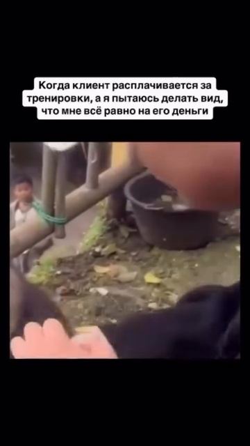 Всё равно на деньги