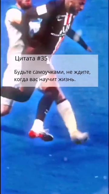 Цитаты