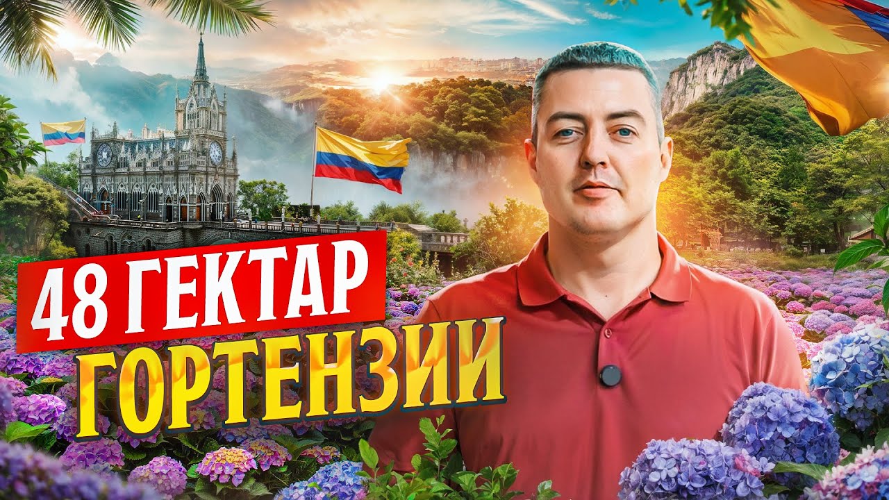 Как выращивают гортензии на склоне горы? | Плантация Condor | Колумбия | Цветы оптом