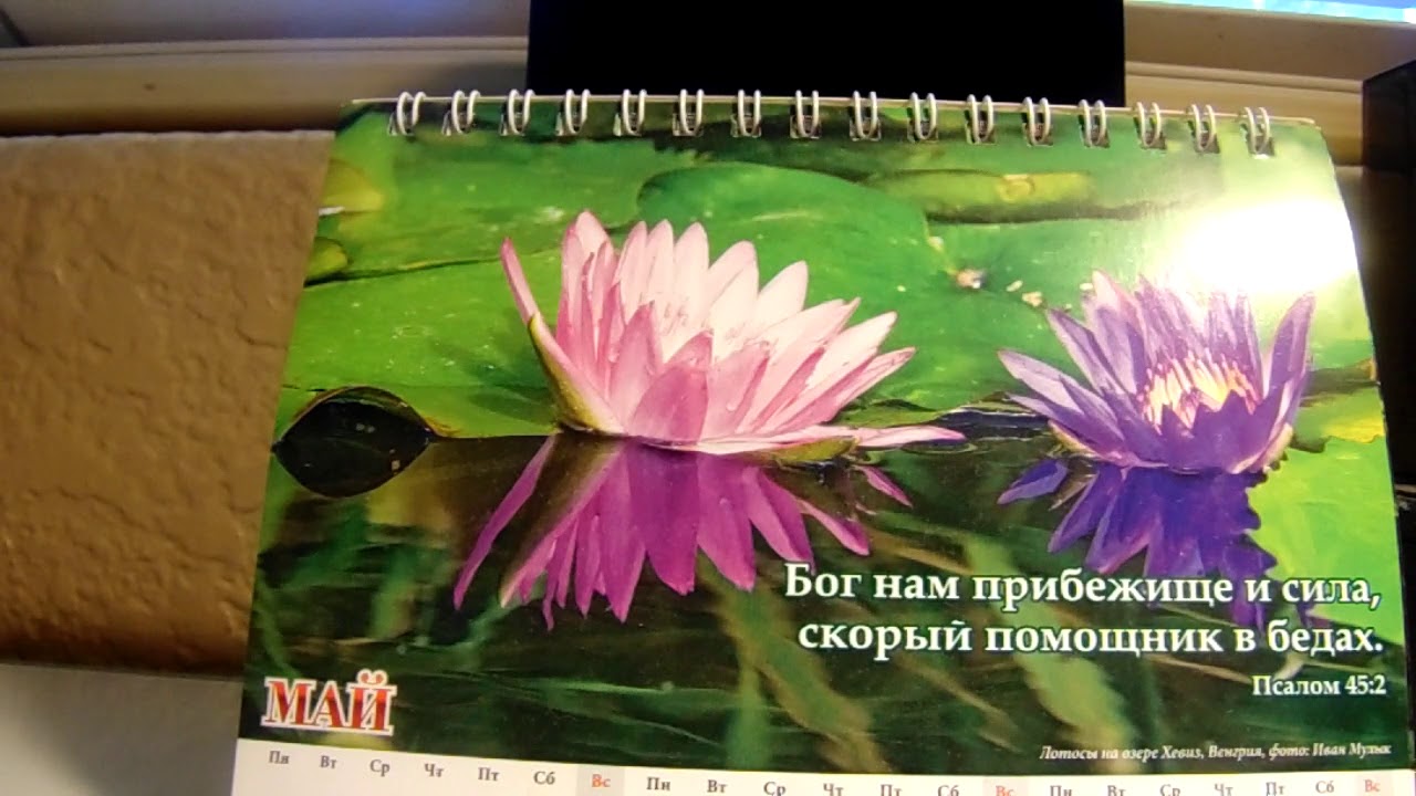Ответы на вопросы Май 2020 Даниэль Нистар