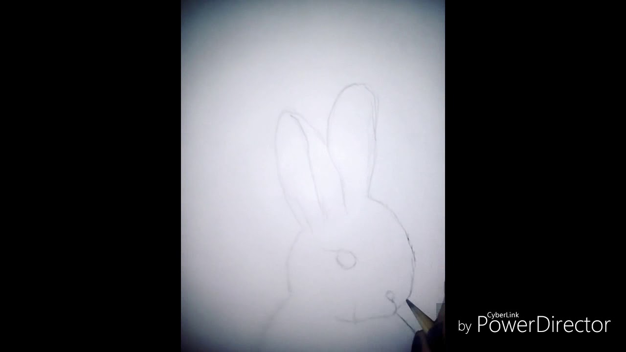 Рисунок карандашом для начинающих-заяцкролик