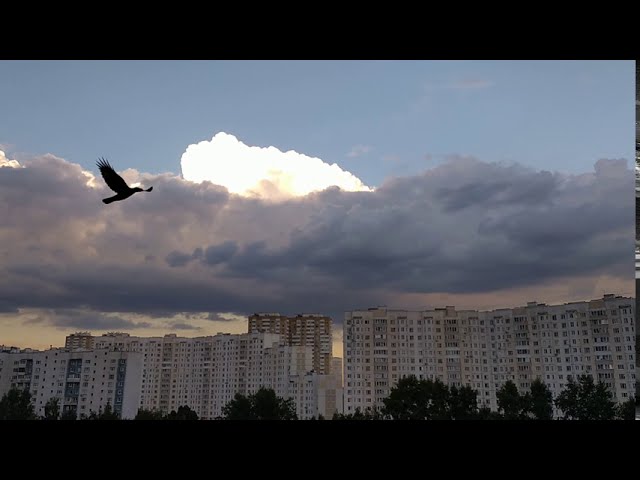 Белоснежное Облако на сером фоне облаков - 2020-08-10 Snow-white Cloud On Gray Clouds Background