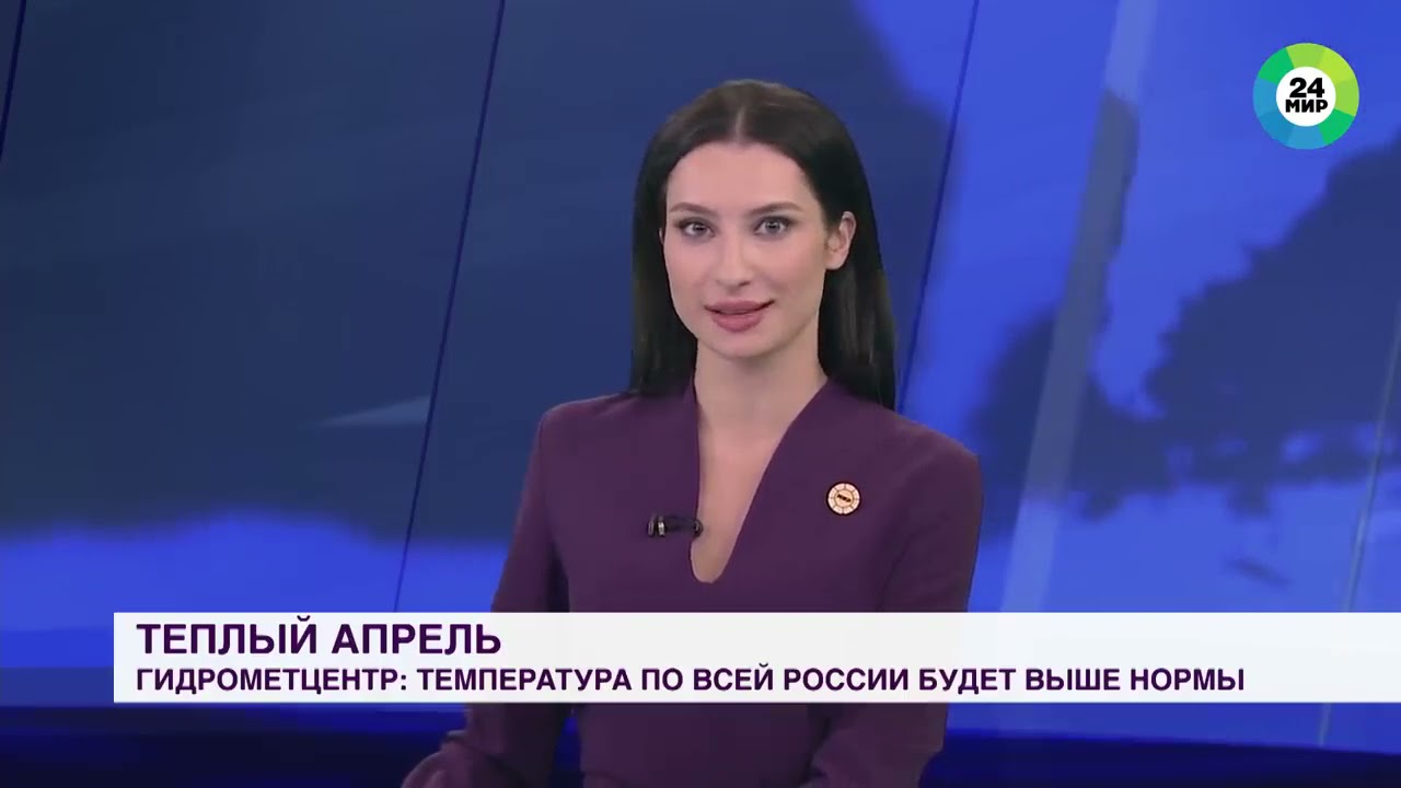 Собака украла микрофон во время прямого эфира выпуска новостей
