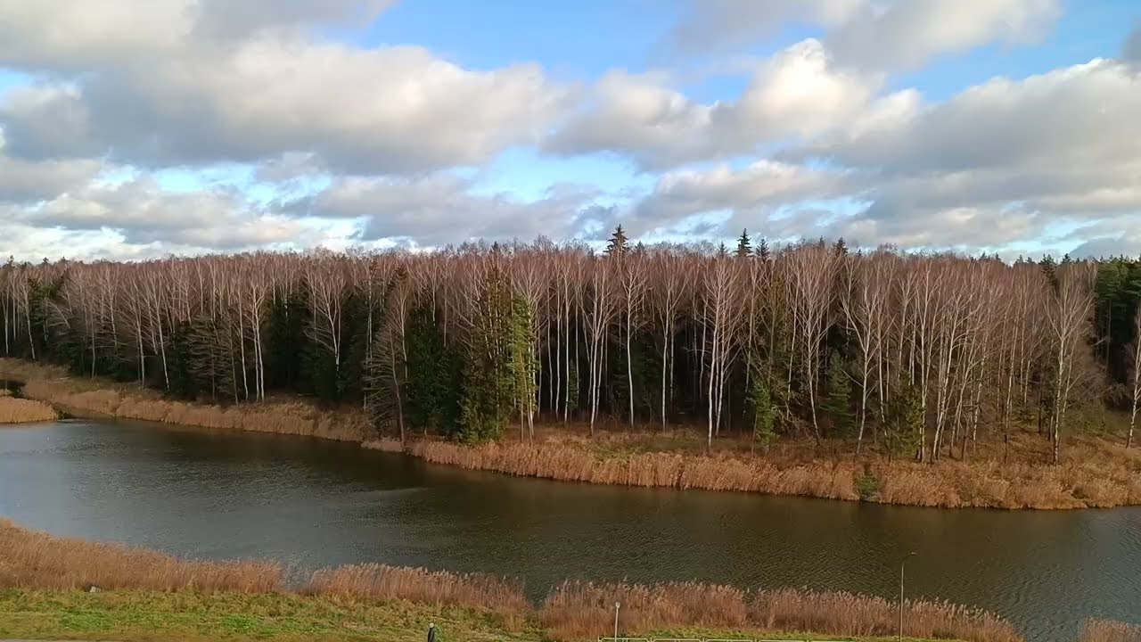 Spring Timelapse