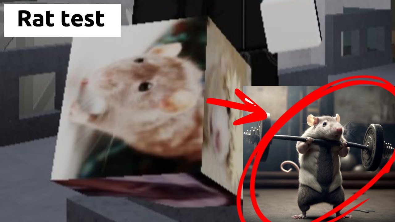Rat Weapon Test🐭🐭🐭 (Neko Infection Roblox)