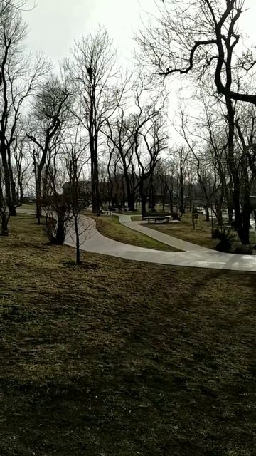 Парк Нагорный. Владивосток.