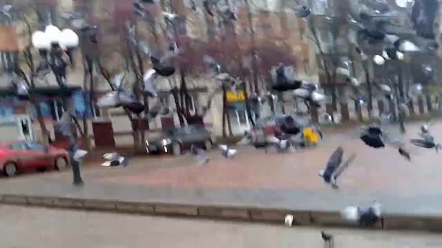 Курлык