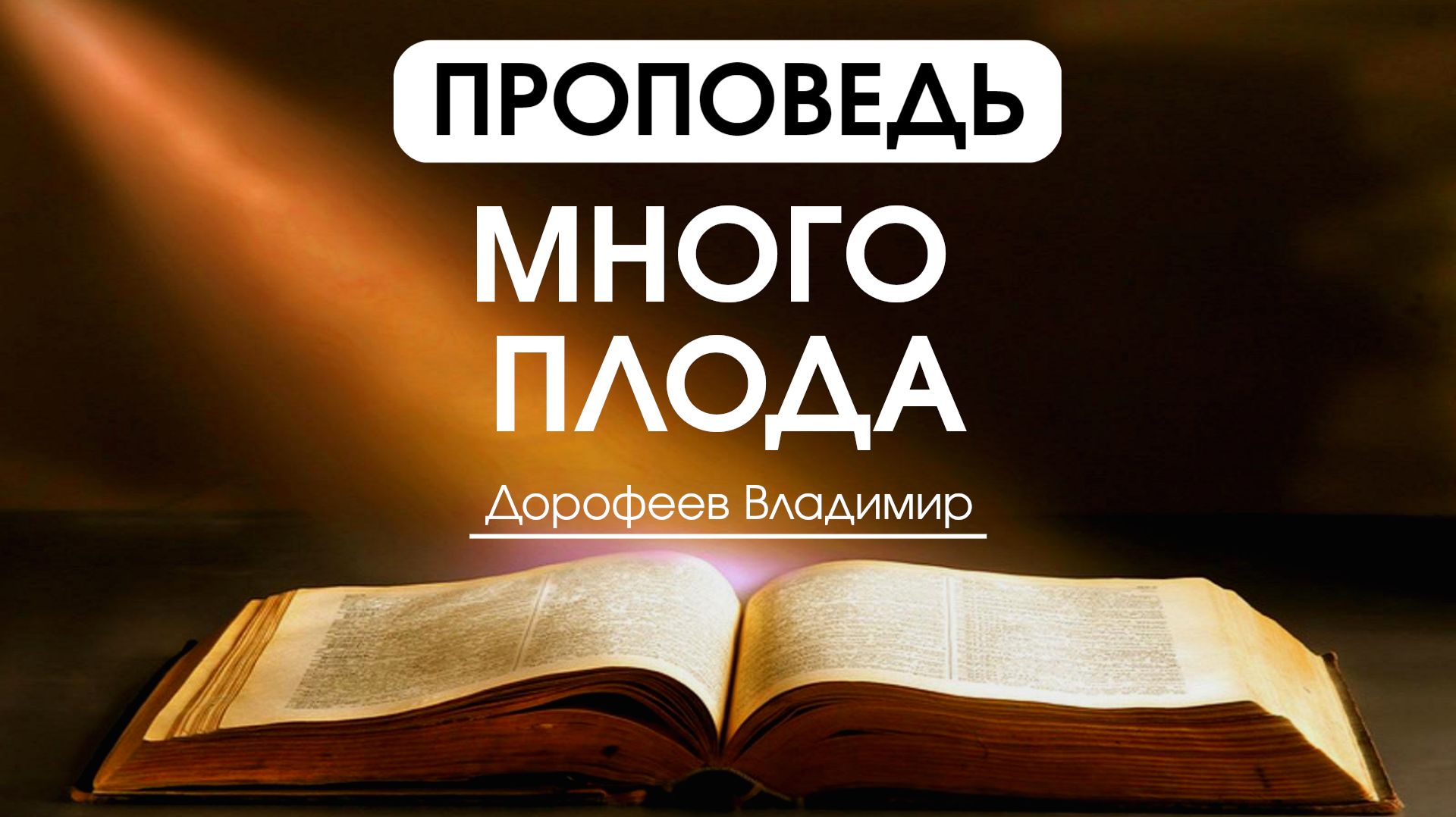Проповеди Владимира Дорофеева