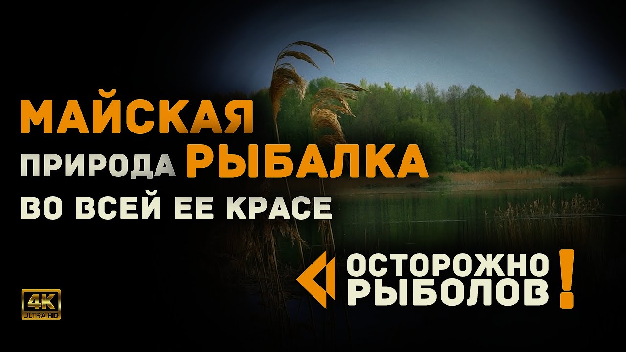 Майская Рыбалка: Природа во Всей её Красе. Шаг в Тишину. Рыбалка в Беларуси.