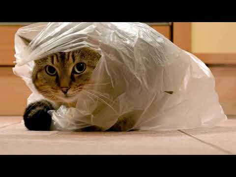 ASMR Sound Of The Rustling Of A Bag. АСМР звук шуршание пакетика.
