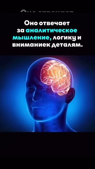 Психология