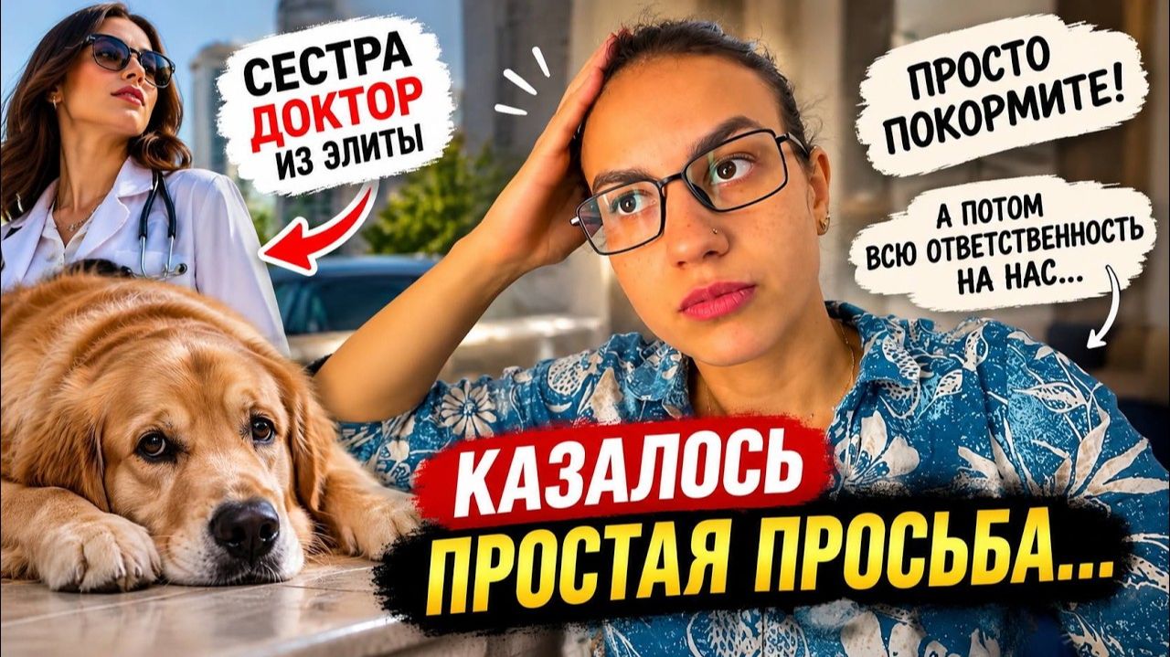 Сестра попросила помочь с собакой,а потом оставила нас с чужой ответственностью.И что теперь делать？