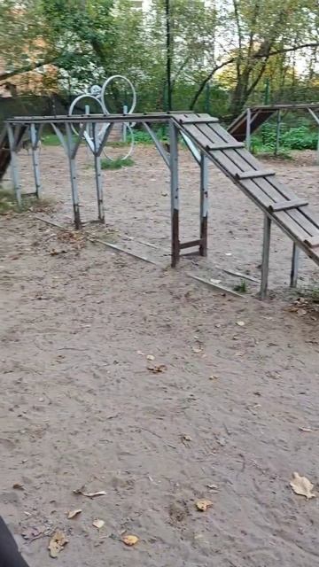 Бигль с друзьями