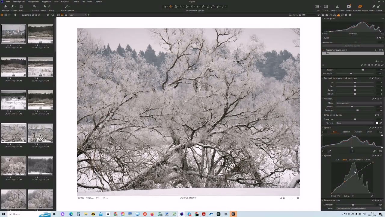 Обработка фотографий. Уровни в Capture One