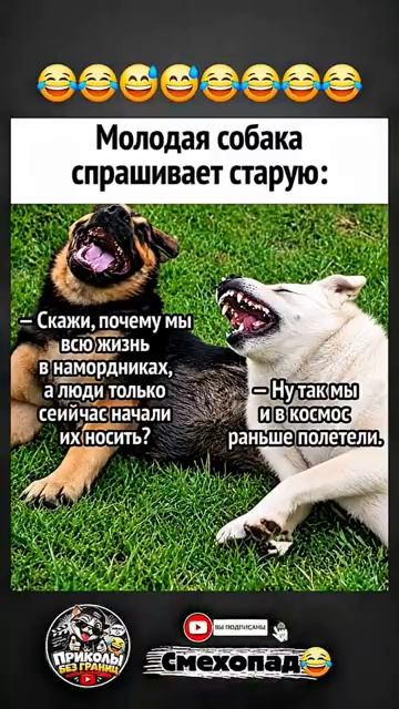 Анекдот😂