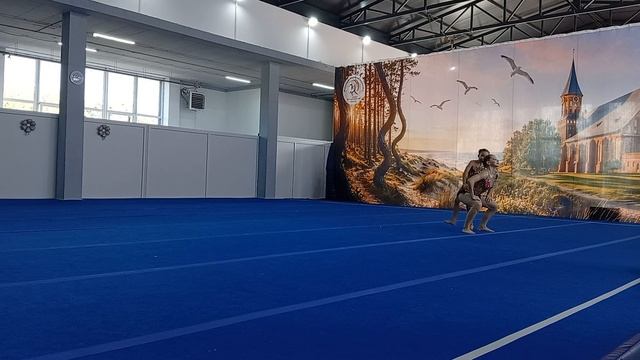 ЖП 1 спортивный разряд, Воробьева Полина - Проценко Алиса, МАУ ДК 
