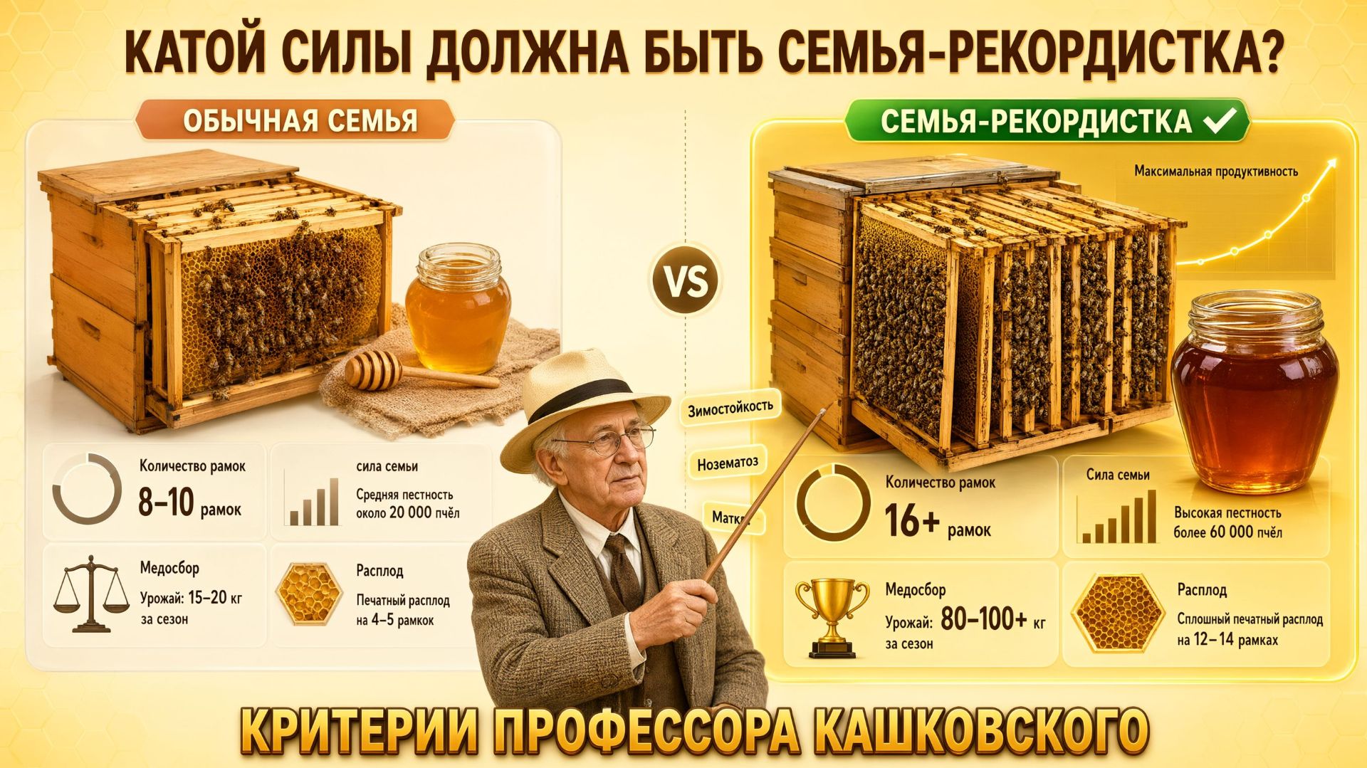 Содержание пчёл