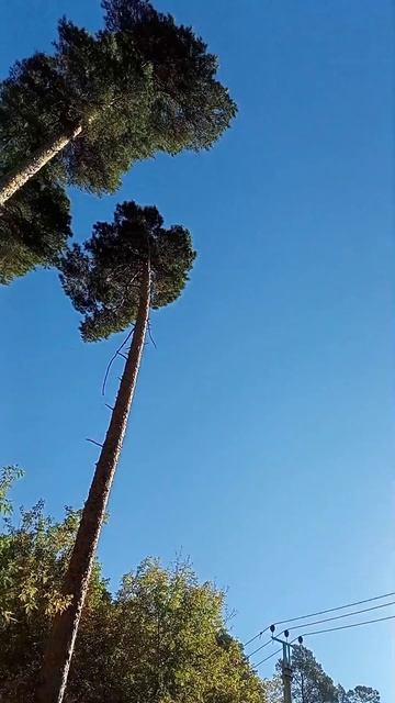  Небо 